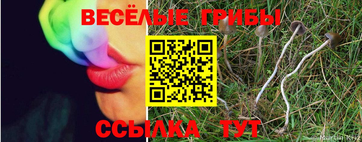Губкин  Псилоцибиновые грибы прущие грибы  Вход с VPN  как найти закладки  Галлюциногенные грибы мухоморы 