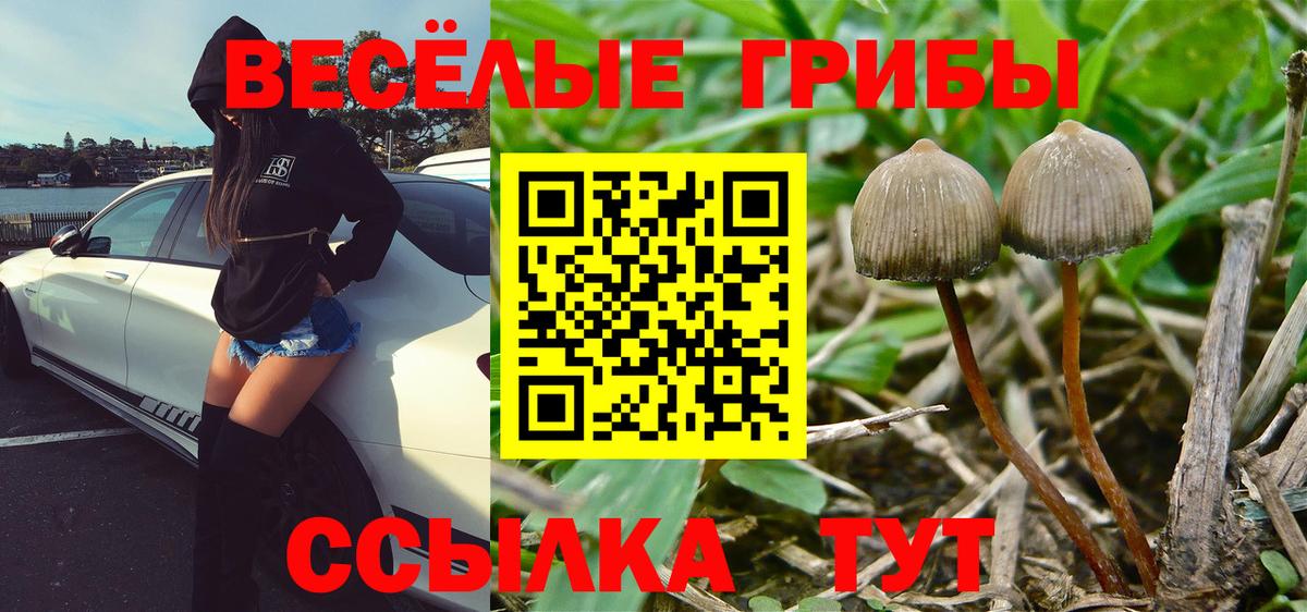 Псилоцибиновые грибы ЛСД Губкин